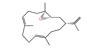 Epoxycembrene A